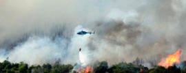 El bosque de Aluminé está siendo arrasado por el fuego