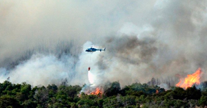 El bosque de Aluminé está siendo arrasado por el fuego