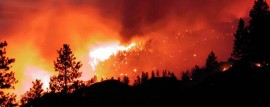 Bomberos contienen incendio en Río Negro