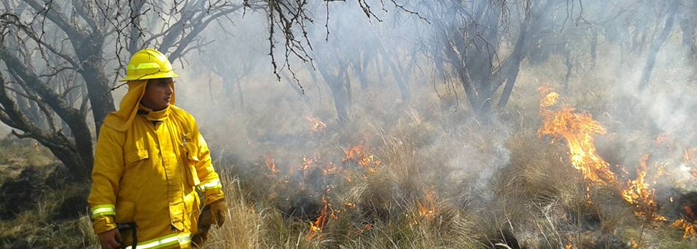 Incendios Forestales: Una suma de tragedias previsibles