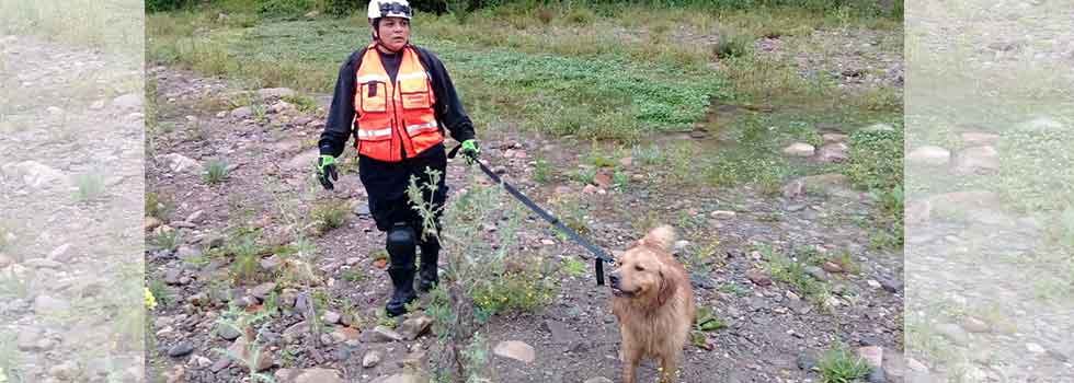 Bomberos voluntarios colaboran en la búsqueda de Constanza Gala Cancinos