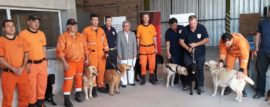 Las Brigadas K9 trabajan en un operativo de búsqueda en Chaco