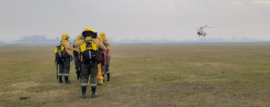 Incendios Forestales en Paraná