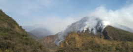 Incendios Forestales de Alta Montaña en Salta y Tucumán