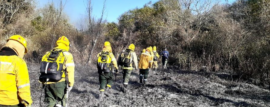 Incendios Forestales en Entre Ríos