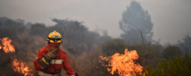 5OO Bomberos Voluntarios Combaten Incendios Forestales en Córdoba