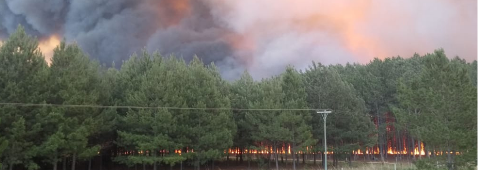 Cesó el Alerta Amarilla