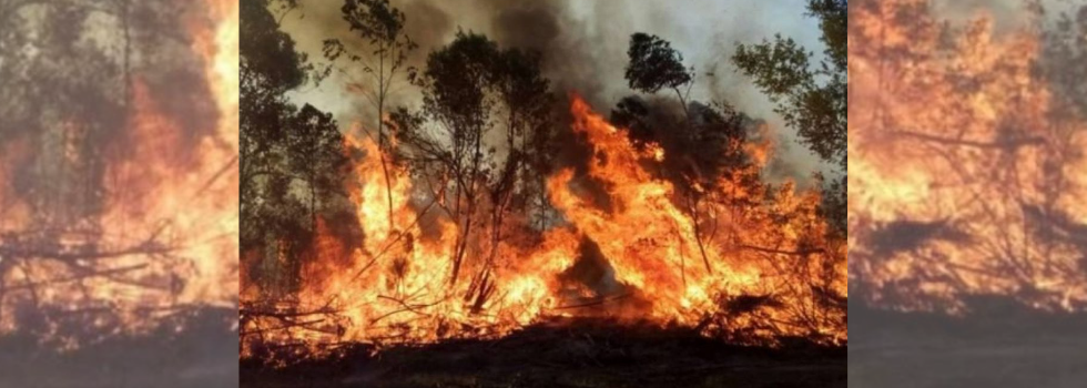 El Consejo Nacional ofreció ayuda a la provincia de Corrientes