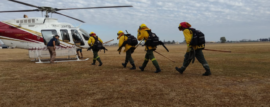 Incendios Forestales en el Delta del Paraná