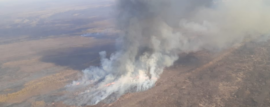 Continúa el combate de incendios forestales en el Delta del Paraná