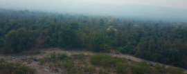 Incendios Forestales en Salta: continúa el arduo trabajo de los bomberos voluntarios