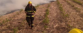 Incendios Forestales en Salta