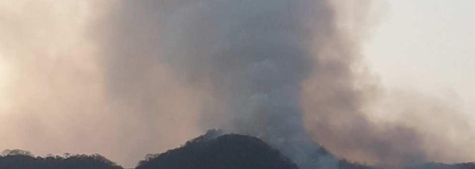 Incendios Forestales en Salta: los focos que combatieron los bomberos voluntarios fueron extinguidos