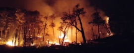 Bomberos Voluntarios en Alerta Amarilla por los Incendios Forestales en Santa Cruz y Tierra del Fuego